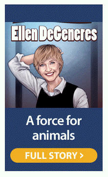 http://action.humanesociety.org/site/R?i=L2lB1BtBWalD27GlYlnLrQ.. humane action